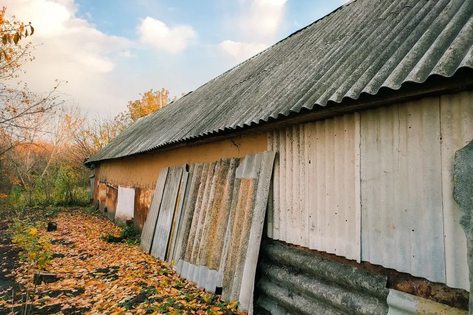 Vieilles plaques ondulées posées contre le mur d'un hangar, feuilles mortes au sol